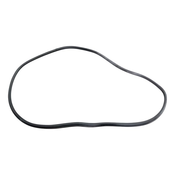 Borracha Porta Dianteira Direita Peugeot 307 2006 2007 2008