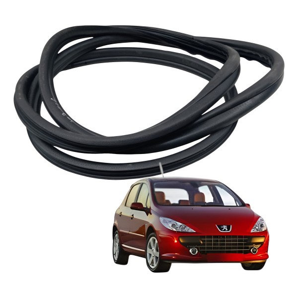 Borracha Porta Traseira Esquerda Peugeot 307 2006 2007 2008