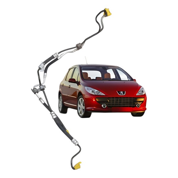 Mangueira Direção Hidraulica Peugeot 307 1.6 2006 2007 2008
