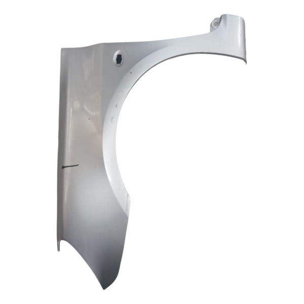 Paralama Dianteiro Esquerdo Peugeot 307 2006 2007 2008