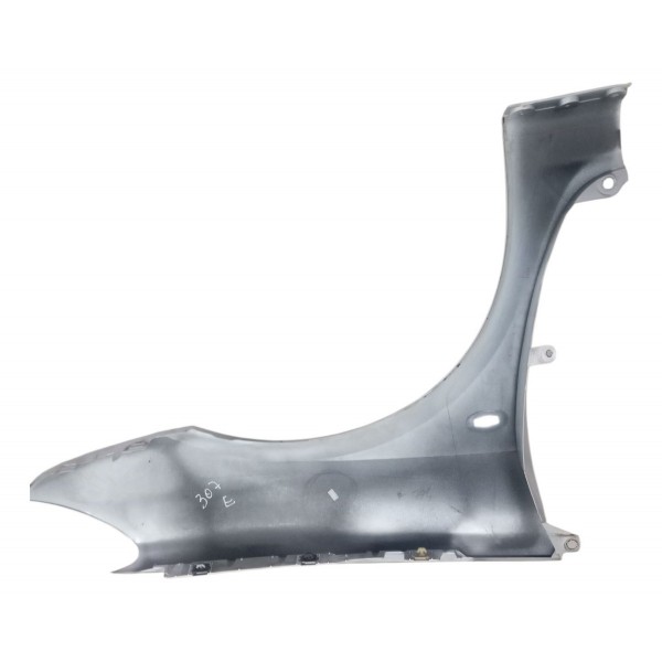 Paralama Dianteiro Esquerdo Peugeot 307 2006 2007 2008