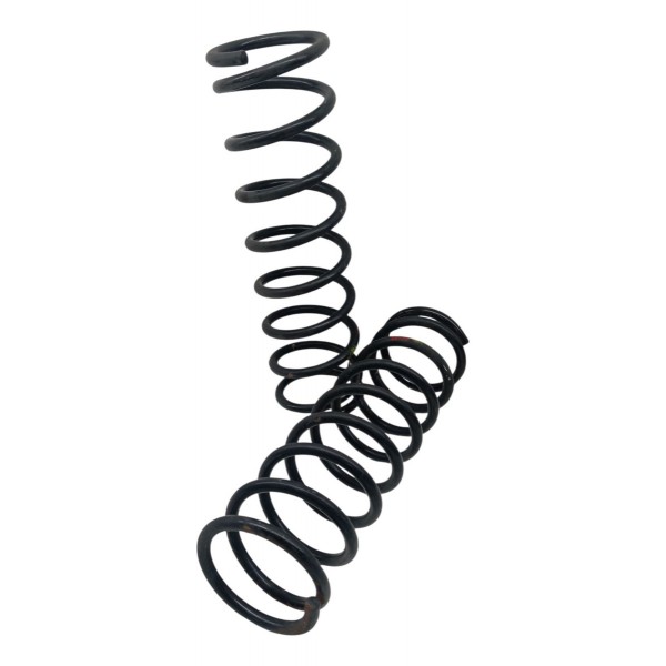 Par Molas Traseiras Ford Focus Sedan Glx  2001 2002 2003