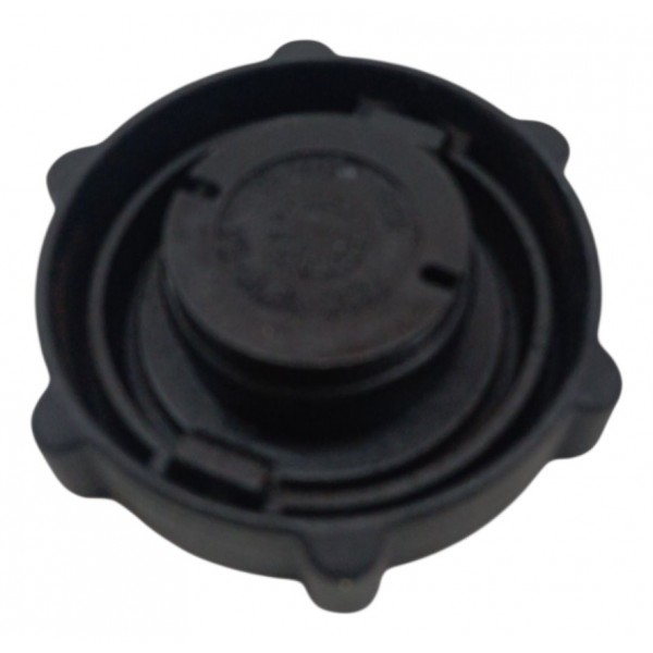 Tampa Reservatorio Fluido Freio Ford Focus 2.0 Glx 2001 2002