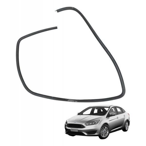 Borracha Vedação Porta Dianteira Direita Ford Focus 2002