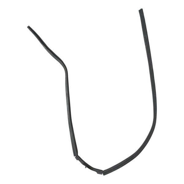 Borracha Vedação Direita Ford Focus Sedan 2.0 Glx Detalhe