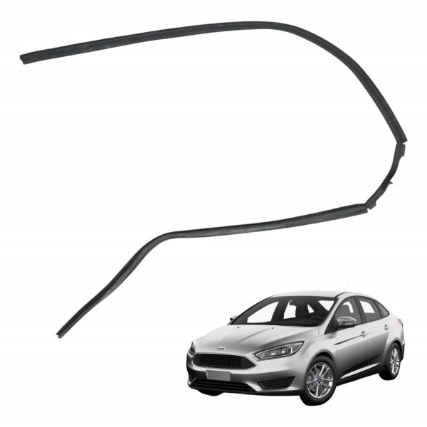 Borracha Vedação Direita Ford Focus Sedan 2.0 Glx Detalhe