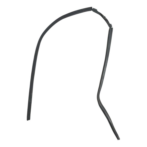 Borracha Vedação Direita Ford Focus Sedan 2.0 Glx Detalhe