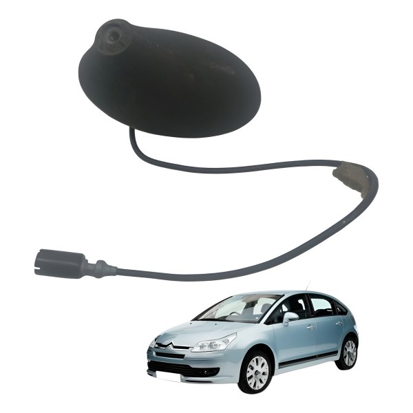 Base Suporte Antena Teto Citroen C4 Pallas 2.0 2008 2009 Preto