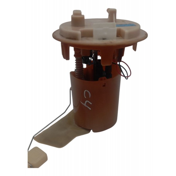 Bomba Combustivel Citroen C4 Pallas 2.0 2008 2009 2010 2011