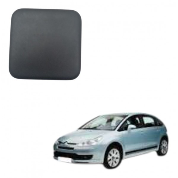 Botão Falso Acabamento Painel Citroen C4 Pallas 2008 2009