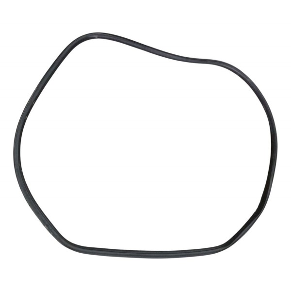 Borracha Porta Traseira Direita Citroen C4 Pallas 2008 2009