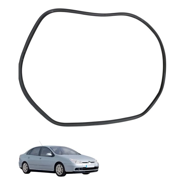 Borracha Porta Traseira Direita Citroen C4 Pallas 2008 2009