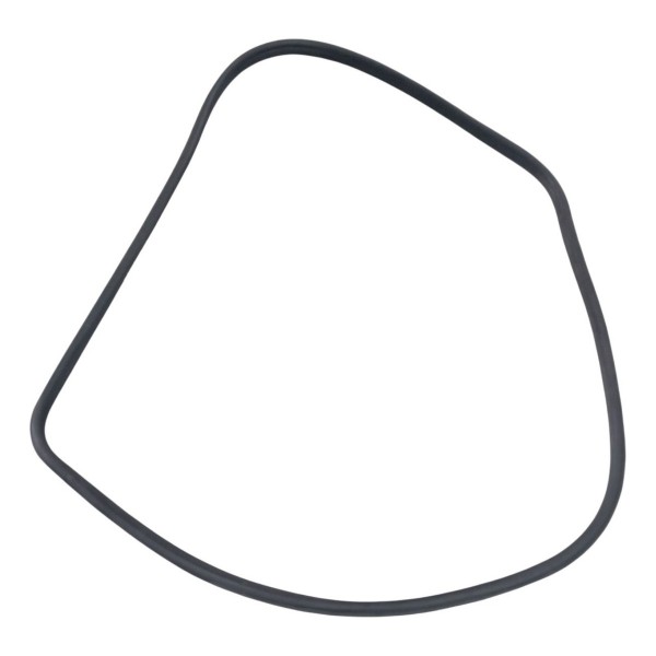 Borracha Porta Dianteira Direita Fiat Palio 1.6 2014 2015