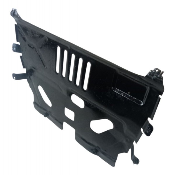 Protetor Carter Peugeot 307 2.0 2009 2010 2011 2012