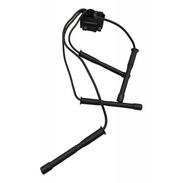 Bobina Ignição Cabos Renault Kangoo 1.0 2003 2004 D46120