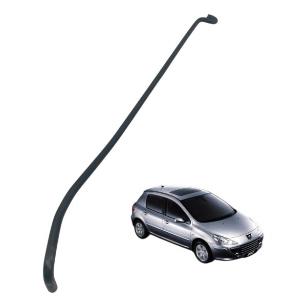 Haste Suporte Capô Peugeot 307 2.0 2007 2008 2009 2010