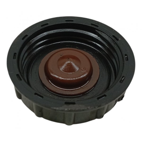 Tampa Reservatorio Direção Hidrulica Renault Kangoo 2003