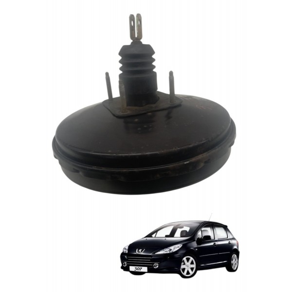 Hidrovacuo Servo Freio Peugeot 307 2.0 2011 2012 2013 2014