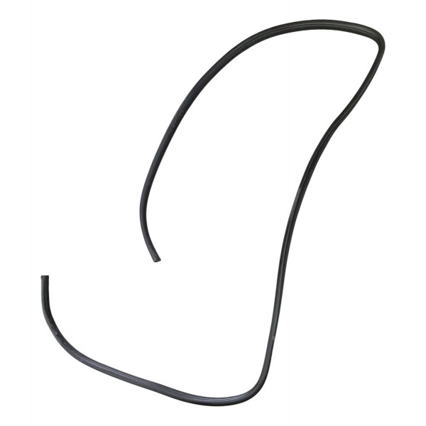 Borracha Porta Dianteira Direita Renault Kangoo 2003 2004