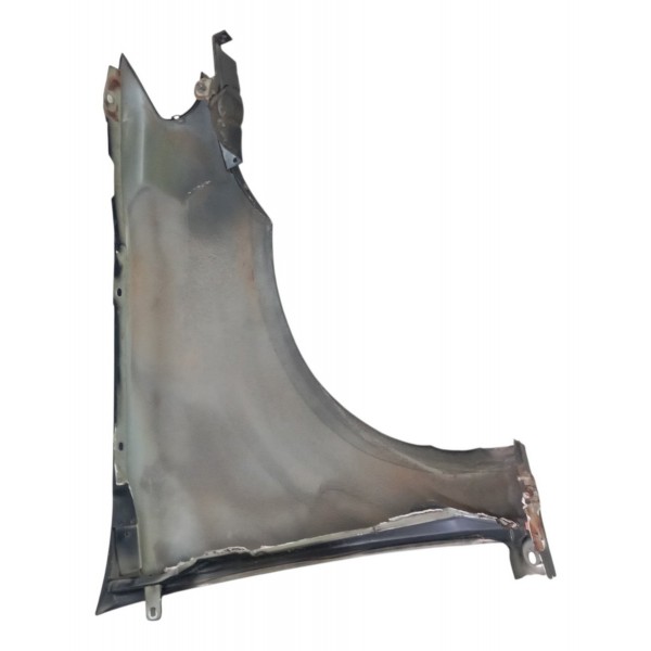 Paralama Dianteiro Esquerdo Fiat Siena 2008 2009 Detalhe