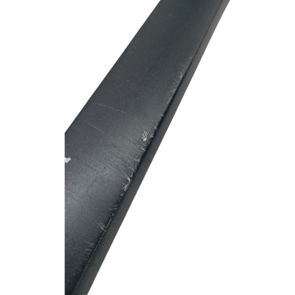 Friso Porta Traseiro Esquerda Renault Megane 2007 Detalhe