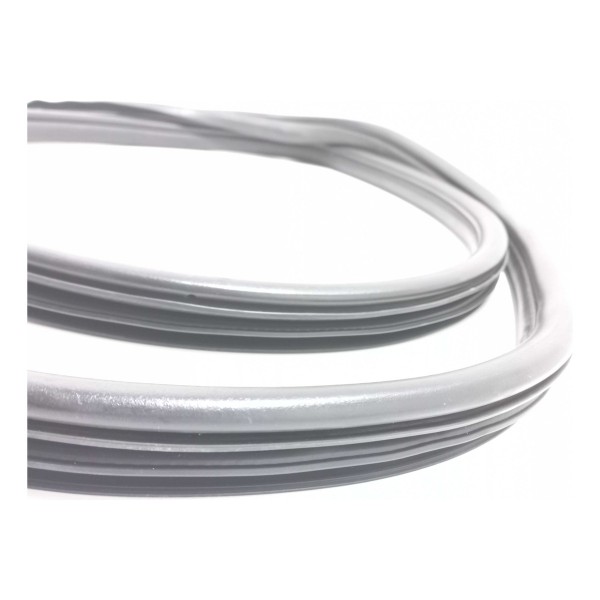 Borracha Porta Dianteira Esquerda Renault Scenic 2003