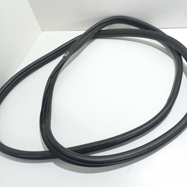 Borracha Porta Dianteira Esquerda Renault Scenic 2003