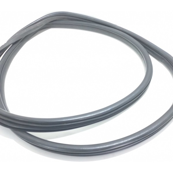 Borracha Porta Dianteira Esquerda Renault Scenic 2003