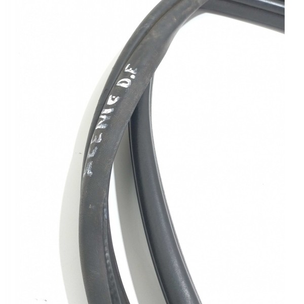 Borracha Porta Dianteira Esquerda Renault Scenic 2003