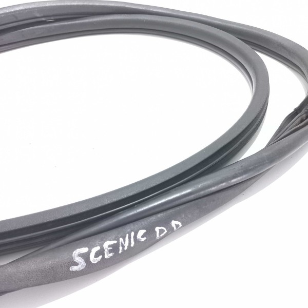 Borracha  Porta Dianteira Direita Renault Scenic 2003