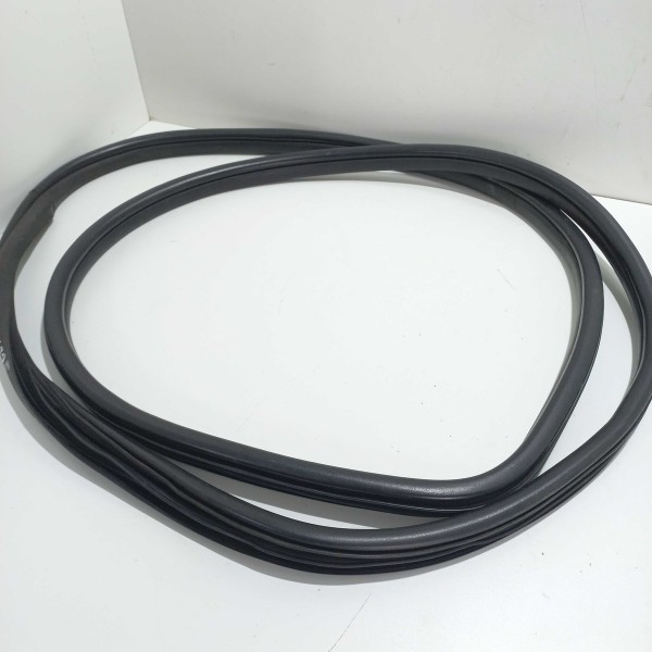 Borracha  Porta Dianteira Direita Renault Scenic 2003