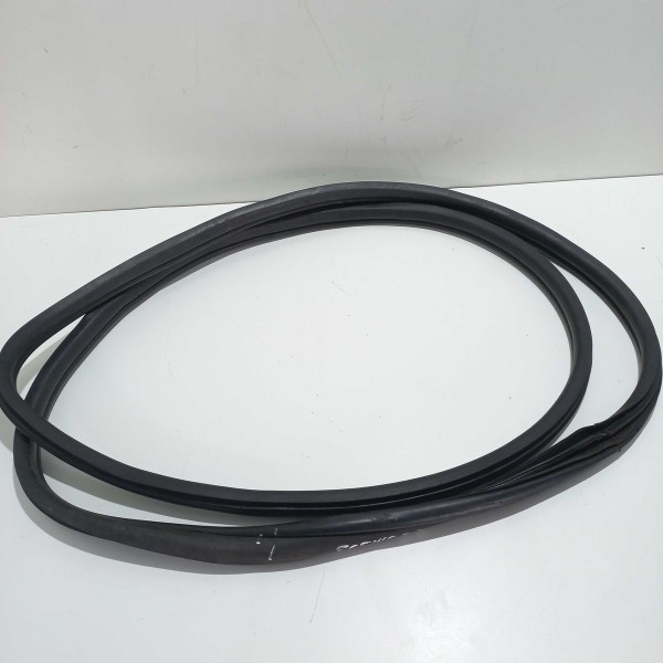 Borracha  Porta Dianteira Direita Renault Scenic 2003