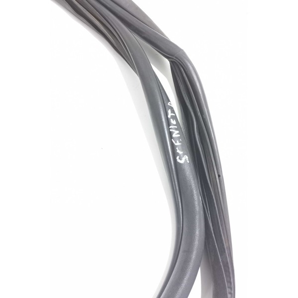 Borracha Vedação Porta Traseira Direita Renault Scenic  Q Preto