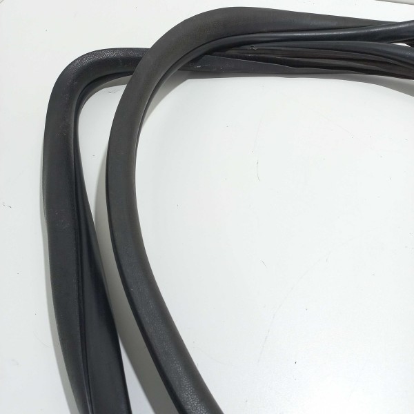 Borracha Vedação Porta Traseira Direita Renault Scenic  Q Preto