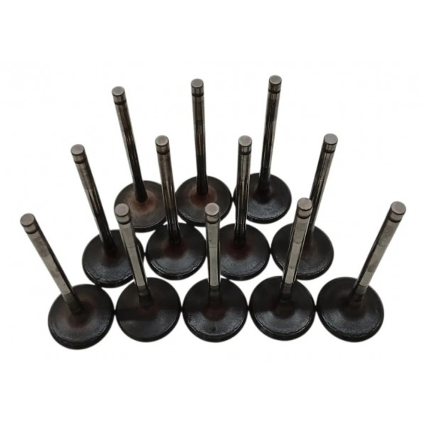 Jogo Valvula 12 Escape Ford Edge 3.5 V6 2011 2012 2013