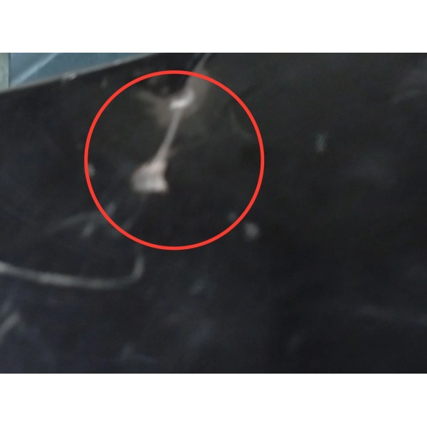 Parachoque Traseiro Renault Duster 2016 2017 Detalhes