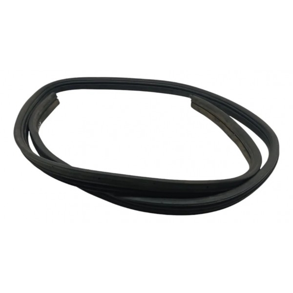 Borracha Vedação Porta Traseira Esq Renault Logan 2007 2008