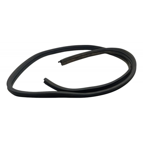 Borracha Vedação Porta Traseira Esq Renault Logan 2007 2008