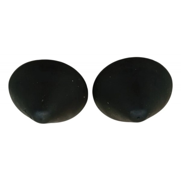 Par Borracha Tampa Amortecedor Traseiro Renault Clio 2006