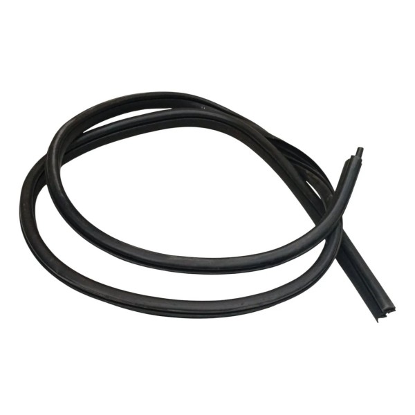 Borracha Vedação Porta Dianteira Esquerda Renault Clio 2006