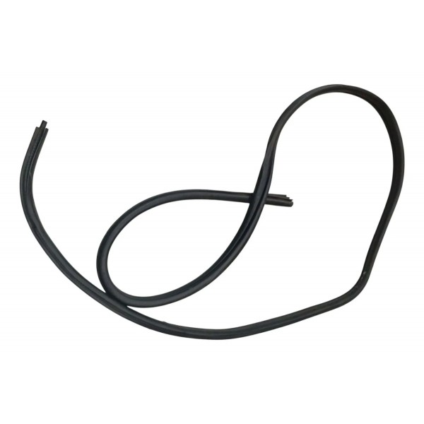 Borracha Vedação Porta Dianteira Esquerda Renault Clio 2006