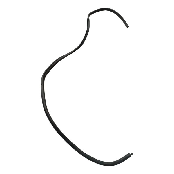 Borracha Vedação Porta Traseira Direita Renault Clio 2006