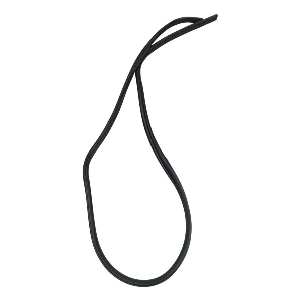 Borracha Vedação Porta Traseira Direita Renault Clio 2006