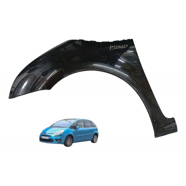 Paralama Dianteiro Esquerdo Citroen C4 Picasso 2009 Detalhe