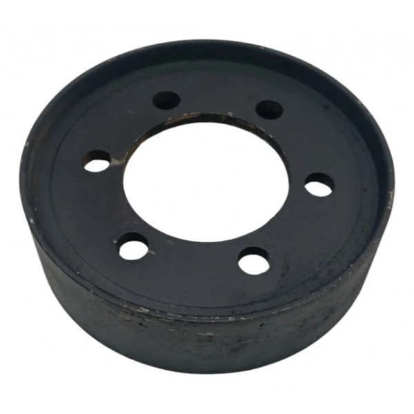 Polia Bomba Água Renault Scenic Megane 2.0 16v 2001 2002 03