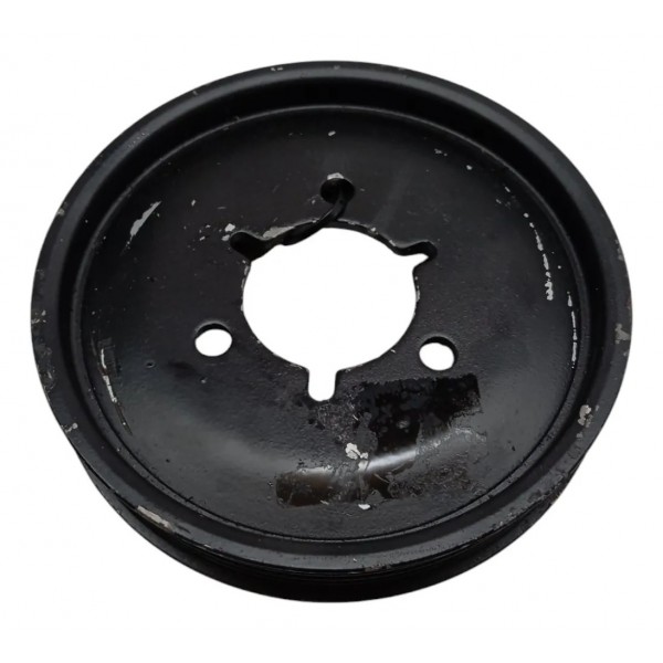 Polia Bomba Hidráulica Citroen C3 2003 2004 2005 2006 2007 Preto