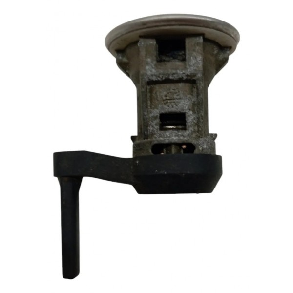 Miolo Porta Dianteira Direita Peugeot 206 2005 2006 2007 08