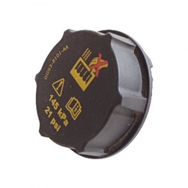 Tampa Reservatório Água Radiador Ford Ka 2015 16 17 18 19 20